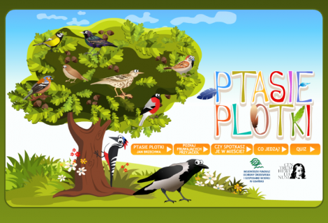 Ptasie plotki